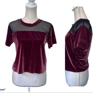 PINK Victoria Secrets Velvet Crop top